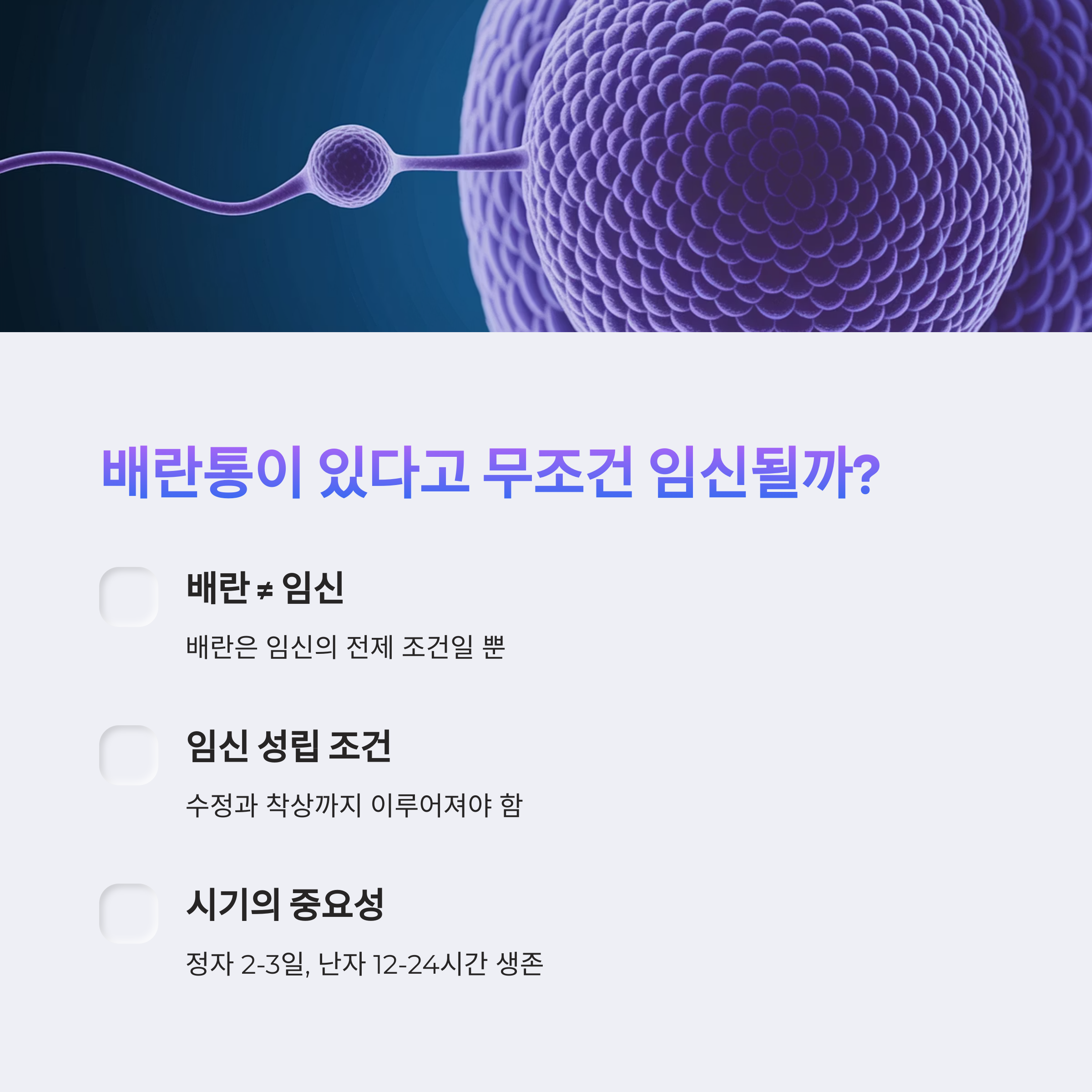배란통과 임신 가능성 관계