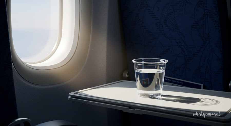 장거리 비행 꿀팁, 충분한 수분 섭취