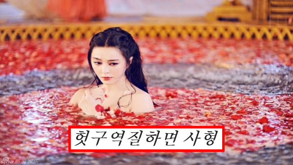 양귀비