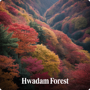  화담숲&middot;모노레일 예약 취소방법&middot;취소표 잡는 방법&middot;입장료 이미지