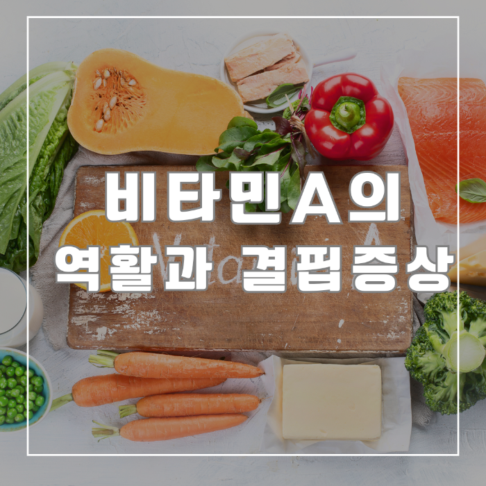 비타민A의 역활과 결핍 증상