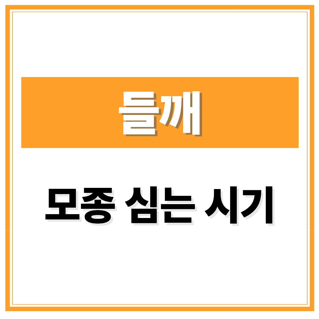 들깨 모종 심는 시기