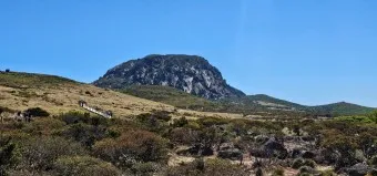 한라산 등반코스 쉬운코스 추천_4