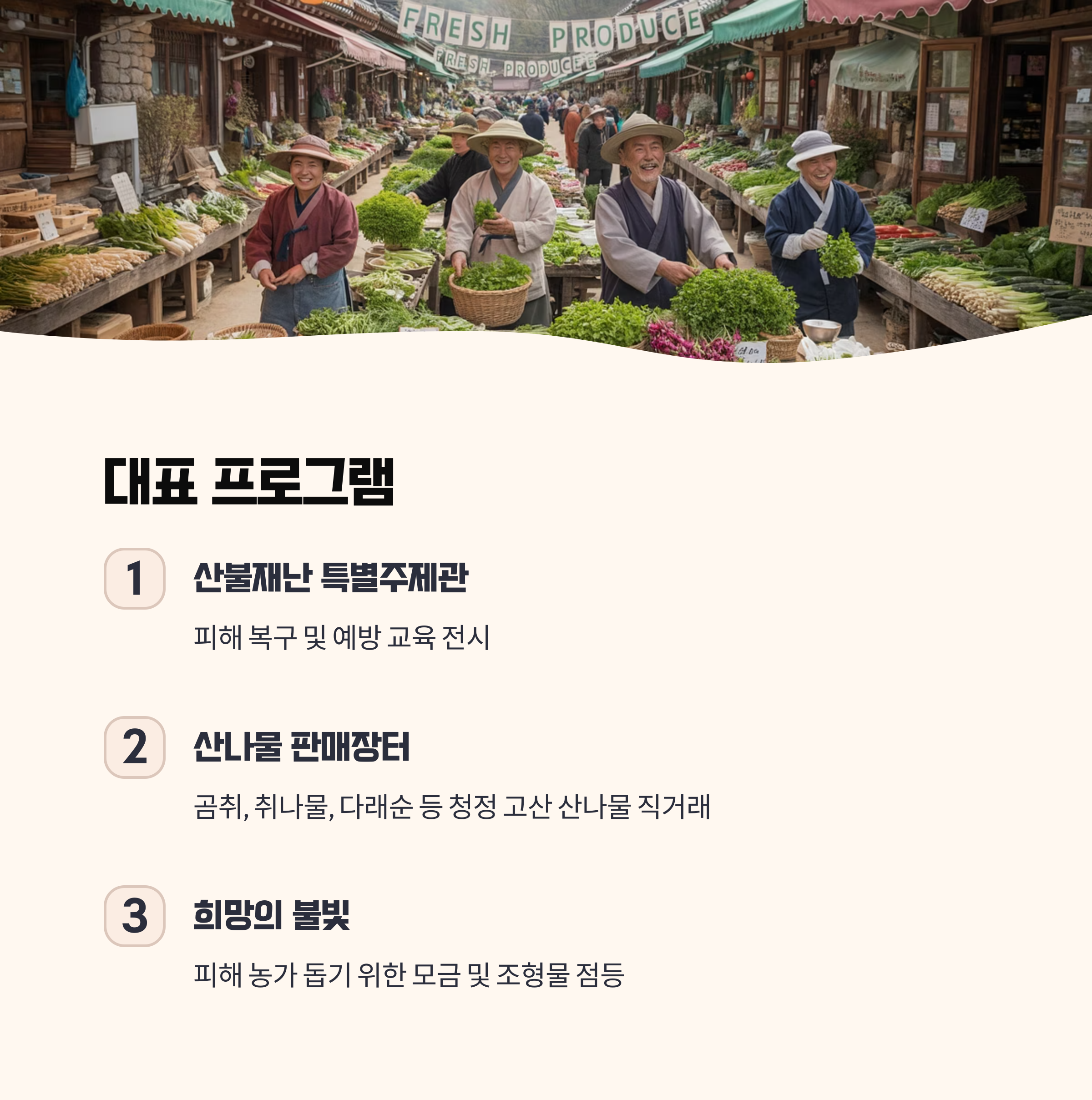 영양 산나물 축제 대표 프로그램 정리