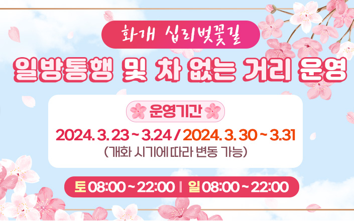 하동 쌍계사 벚꽃 축제