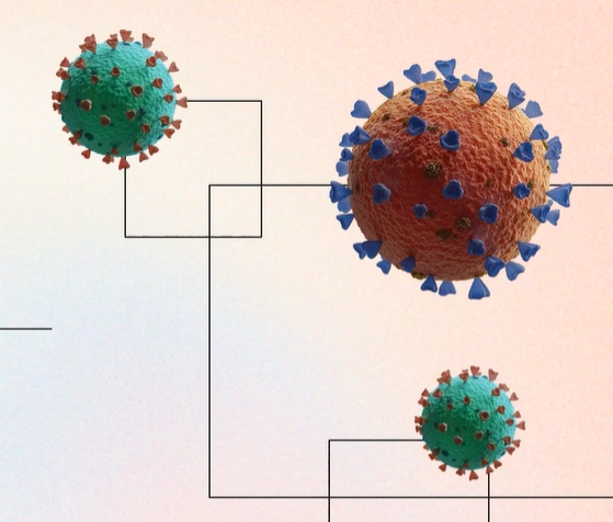 아시클로버 연고 효능