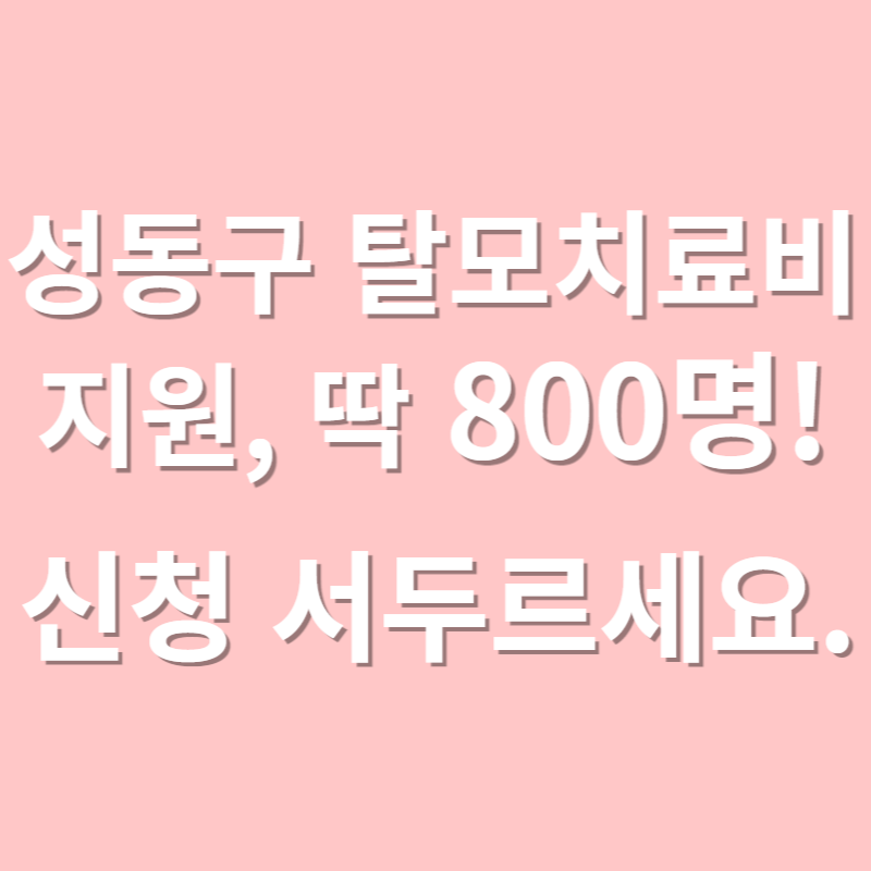 성동구 탈모치료비 20만원, 800명 신청 서두르세요