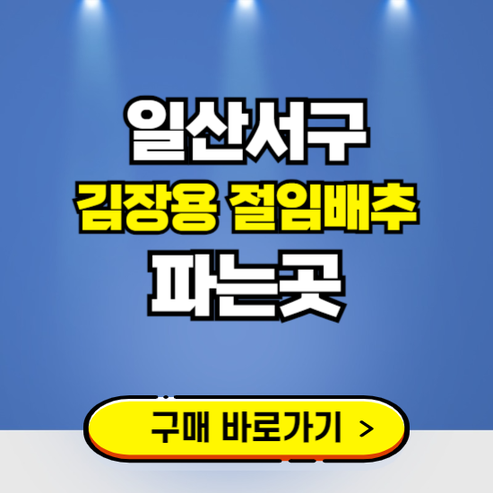 일산서구 절임배추 사전예약 구입하는곳 ❘ 김장배추 파는곳 가격보기
