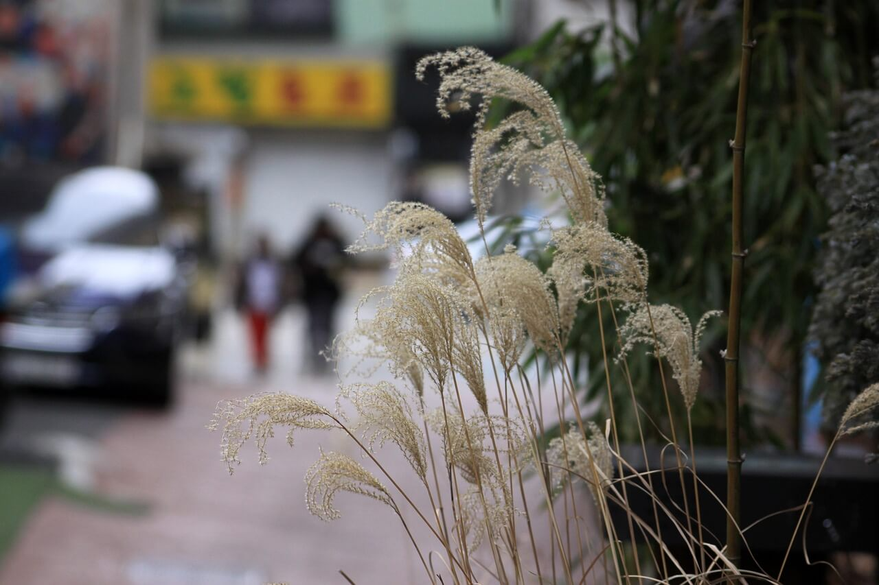 서울 산책코스 걷기 좋은 길 추천! 감성 가득한 산책코스 TOP 5