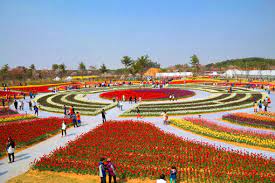 안면도 가볼 만한 곳 BEST 10