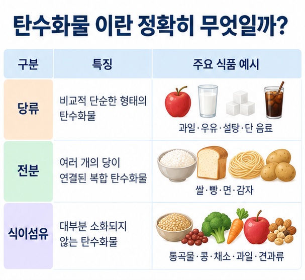탄수화물의 당류 전분 식이섬유 특징과 대표 식품을 비교한 표