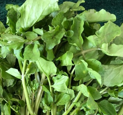 영양사들이 추천하는 가장 과소평가된 건강에 좋은 음식 워터크레스 물냉이