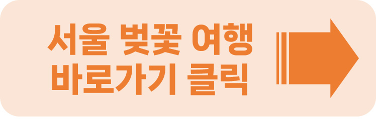 벚꽃 피는 시기