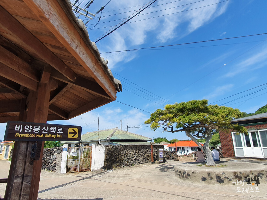 비양봉 가는길