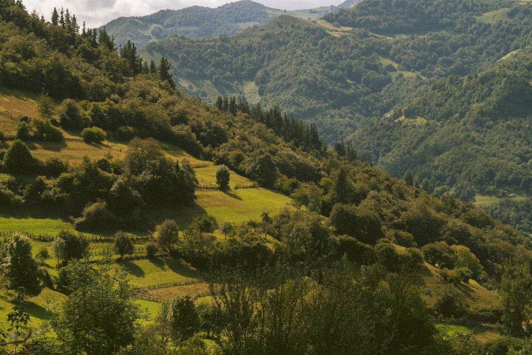 land
