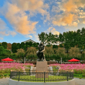 광양매화축제 주차장&amp;#44; 맛집&amp;#44; 입장료