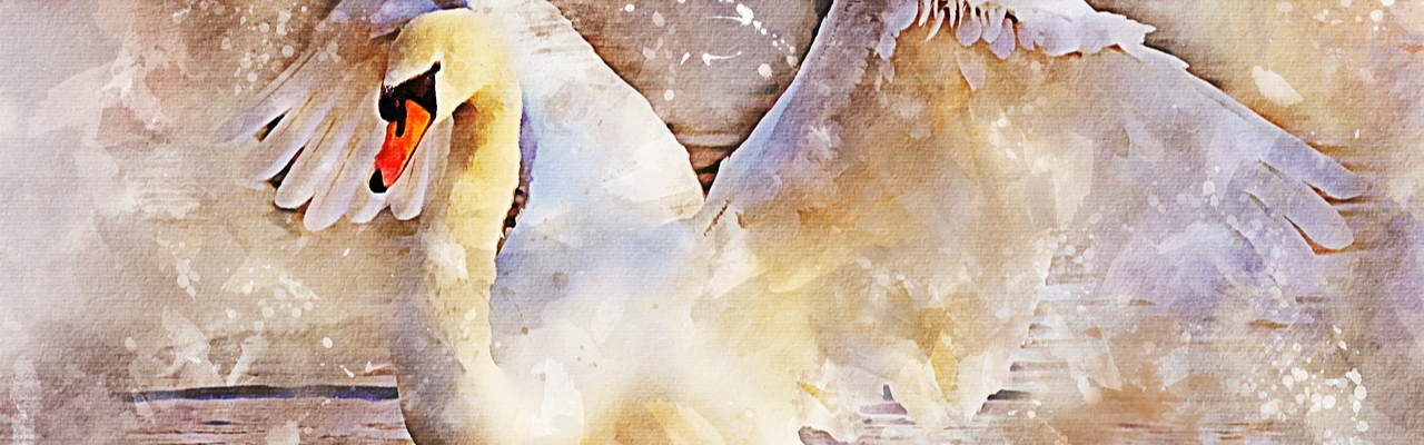 디지털미디어아트