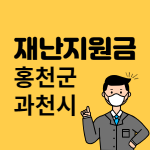 홍천군 과천시 재난지원금 썸네일