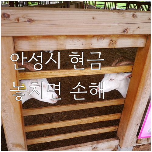 2025 놓치면 손해 안성시 취약계층..