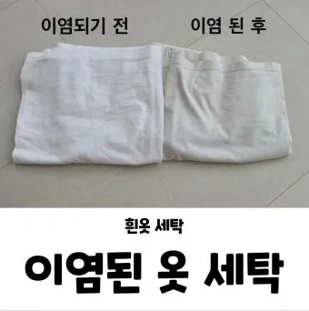 이염 제거 산소계표백제 테스트와 국소 세척 순서_6