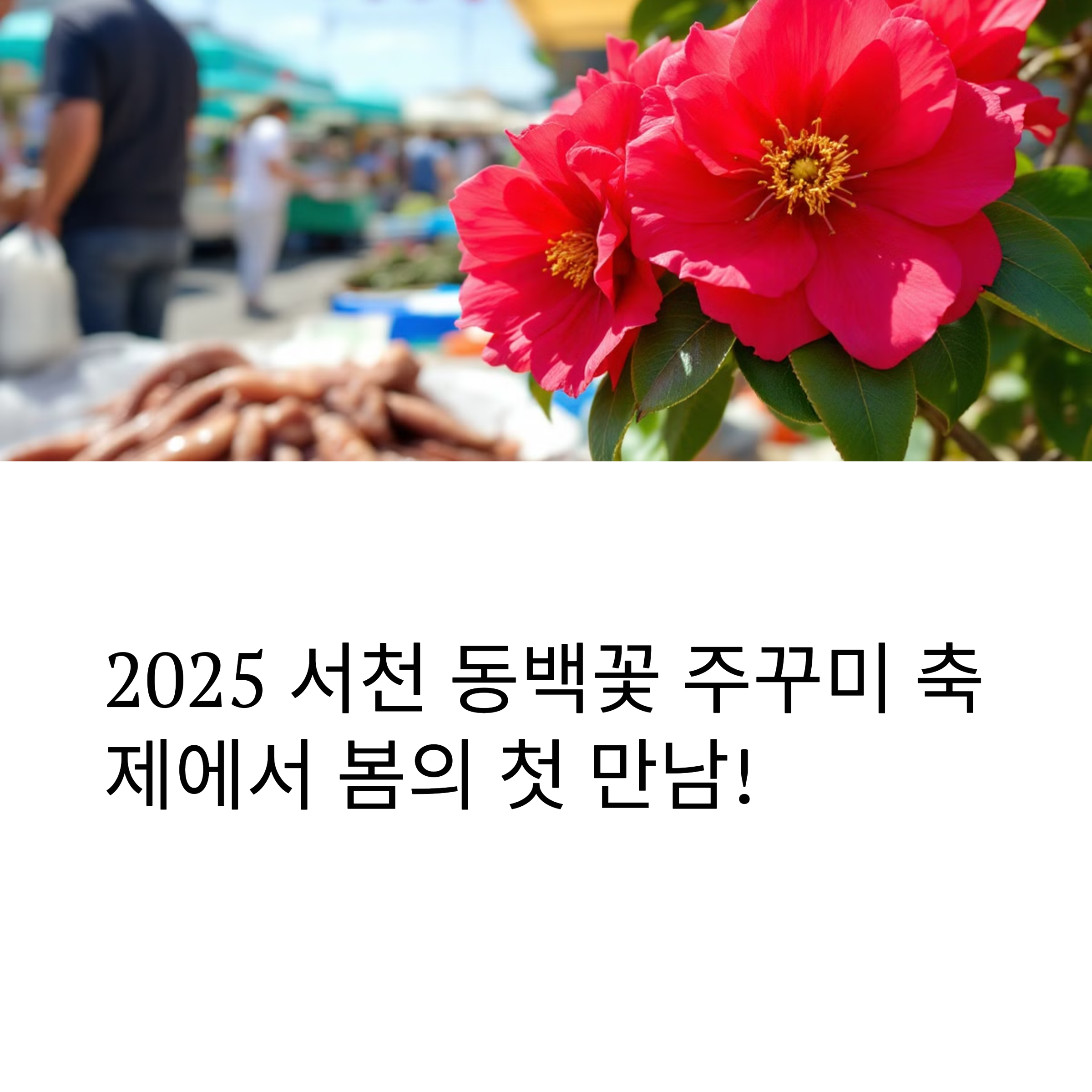 2025년 서천 동백꽃 쭈꾸미 축제