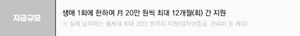 청년 월세 지원 사업 지원금 (월 20만 원, 연 240만 원)