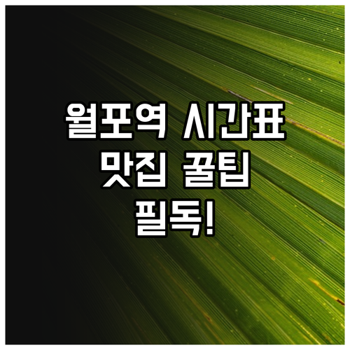 포항 월포역 시간표 정리 및 해수욕장..