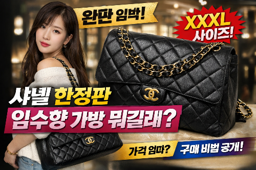 샤넬 한정판 임수향 가방 뭐길래?