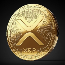 리플 코인 사진