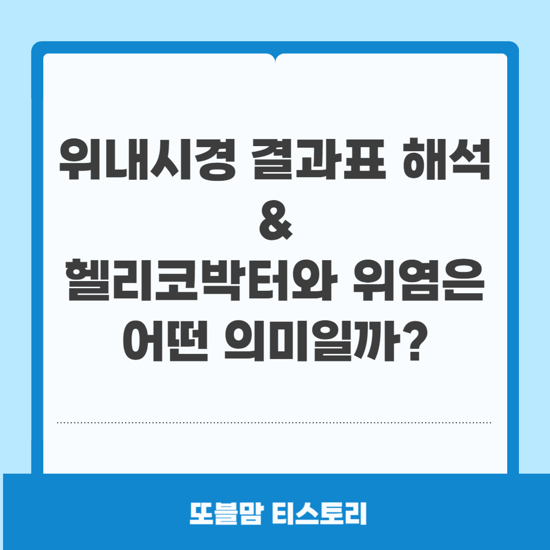 위내시경 결과표 해석