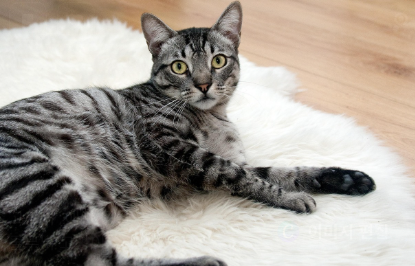 가격대별 추천 제품 관련 사진