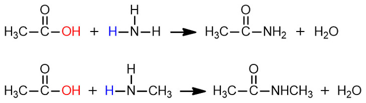 Amidation -CONH2 structure