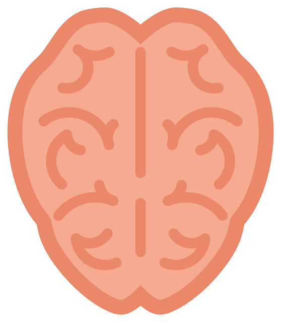 모야모야병 환자를 위한 건강한 식습관 만들기