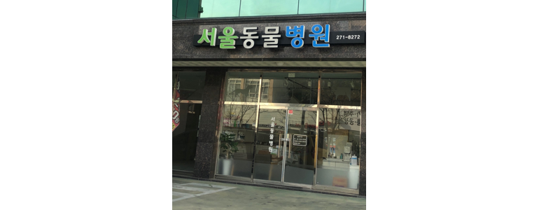 창원 마산합포구 동물병원