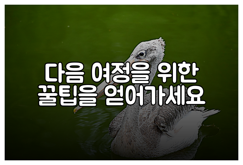 다음 여정을 위한 꿀팁을 얻어가세요