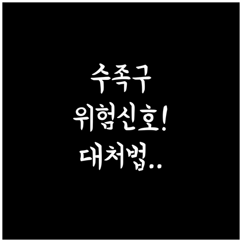 수족구 합병증 위험 신호와 대처 방법..