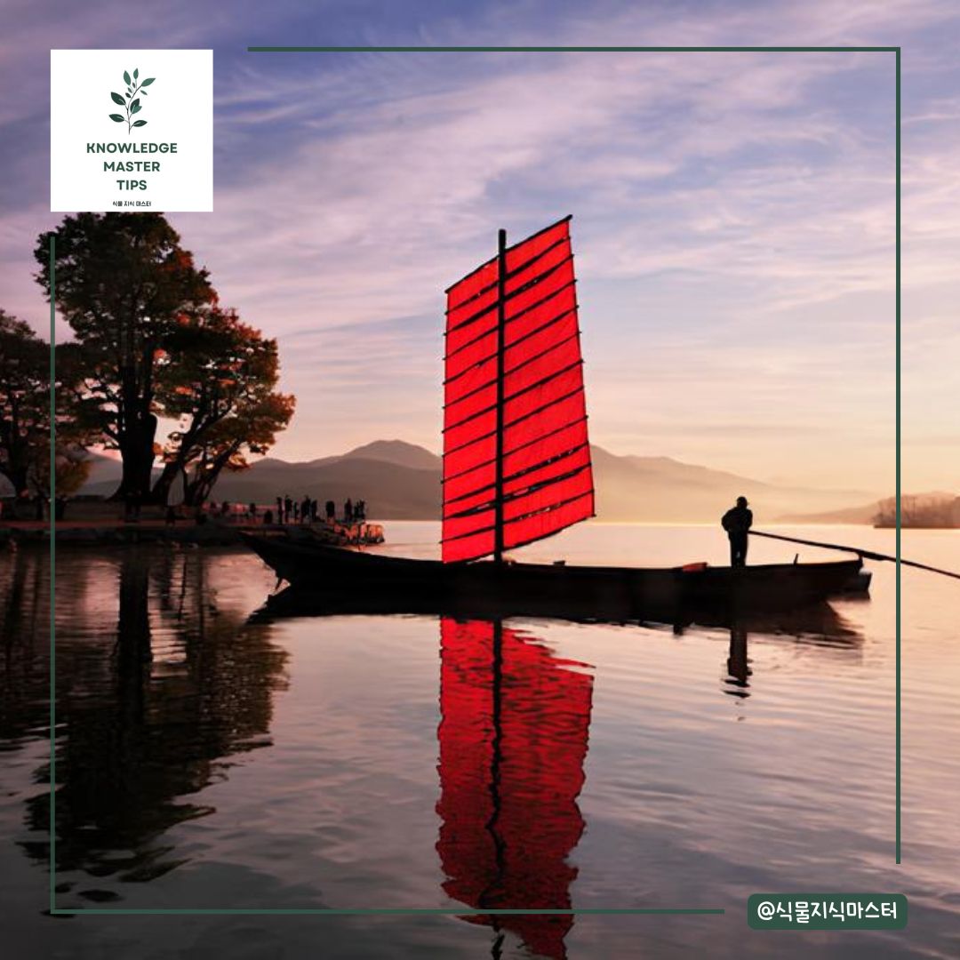 경기도 단풍 명소 - 양평 두물머리