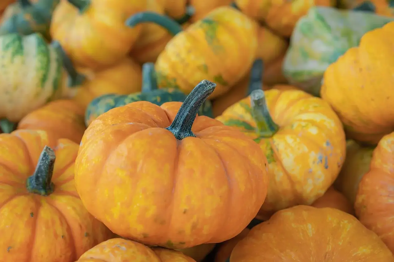 2025년 농업경영체등록확인서 발급, 어렵지 않아요