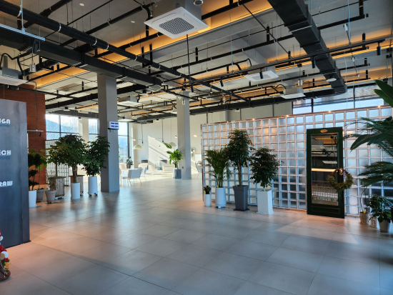 강화도 카페두운리 내부