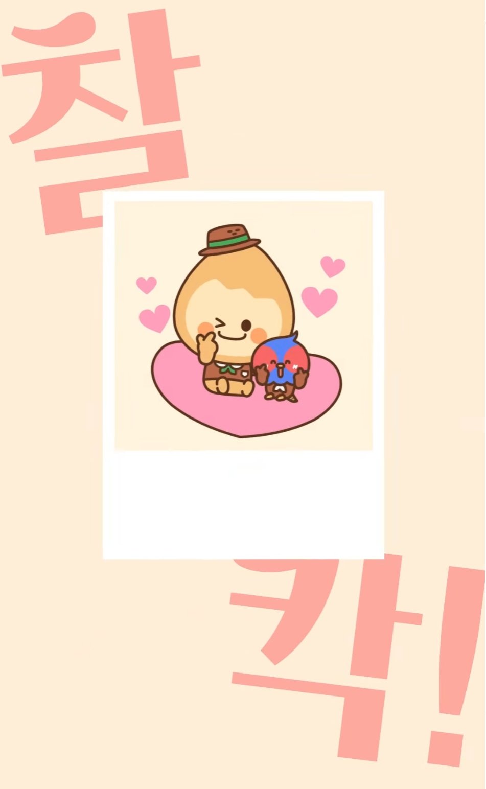 포토존 이미지 홍보컷