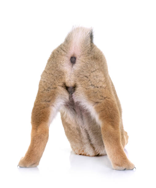 언제 병원에 가야 할까?