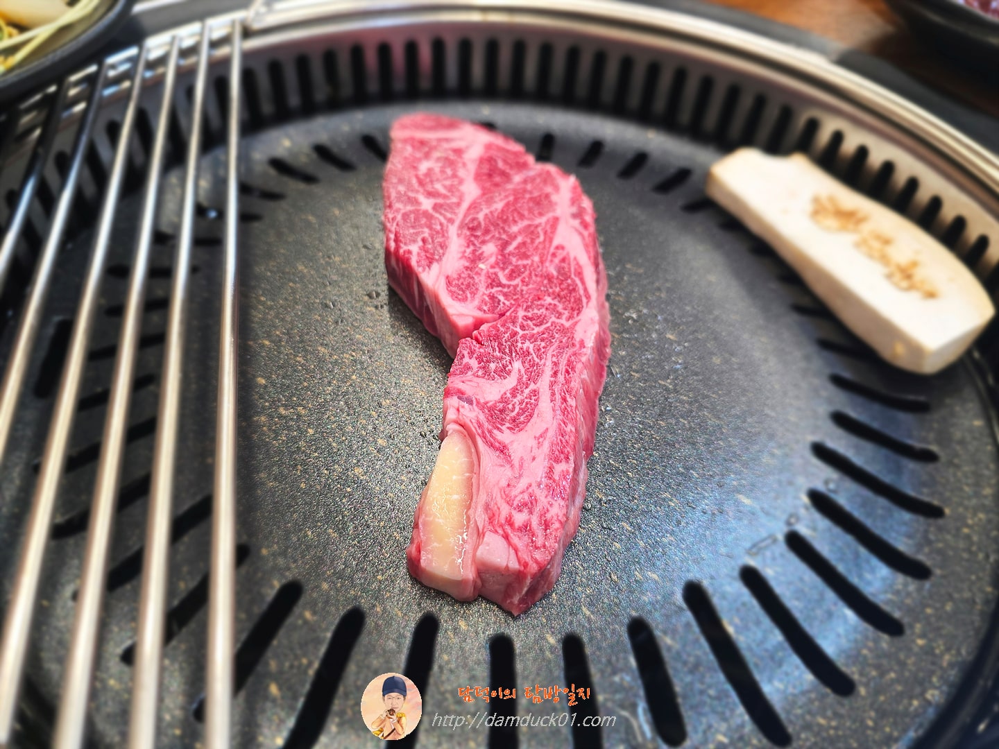 조선한우스페셜