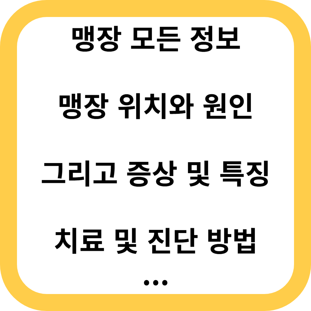 맹장염