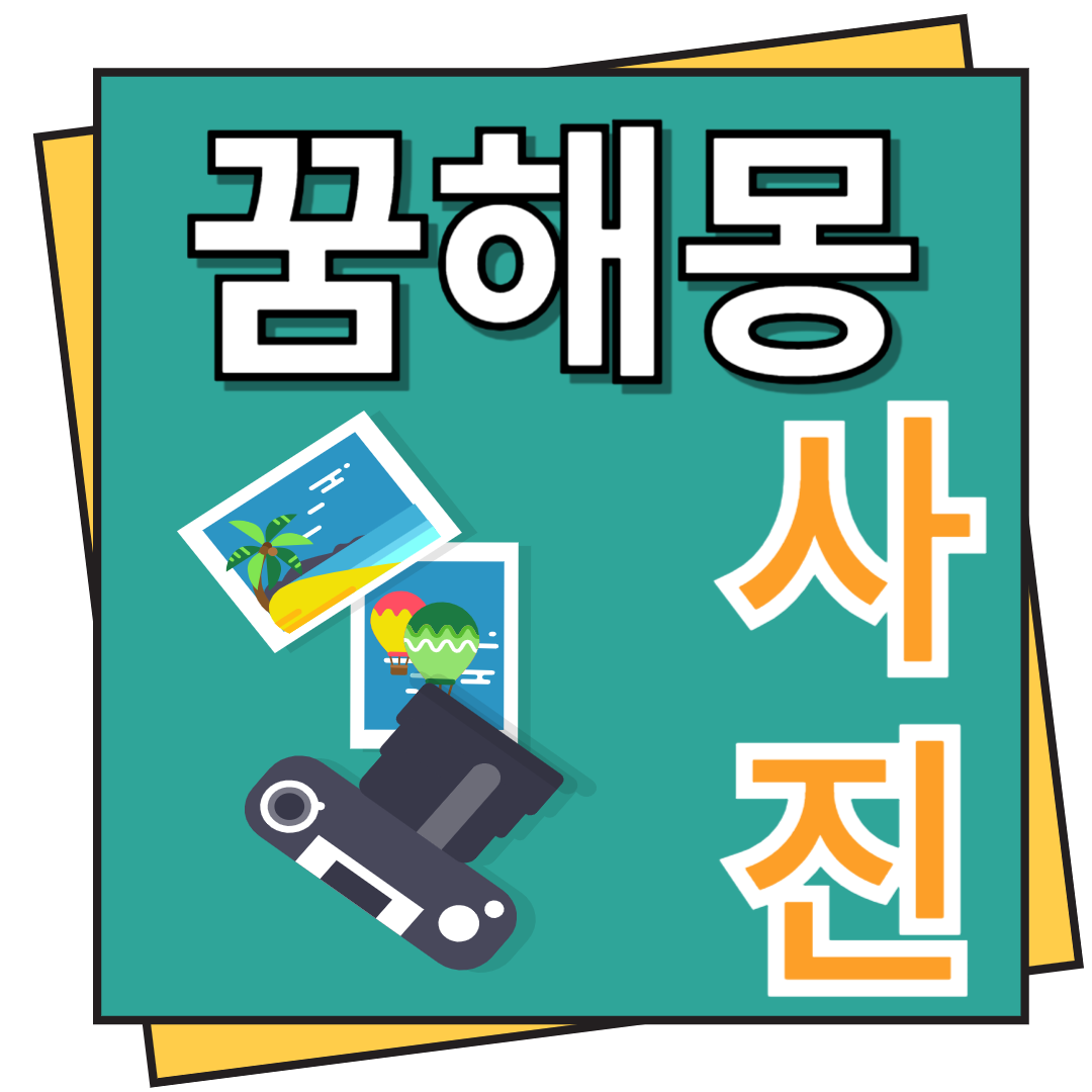 사진 꿈해몽