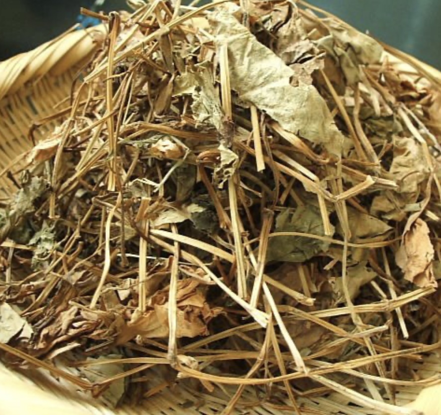 어성초액을 활용한 피부 관리 방법