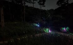 화담숲 반딧불이