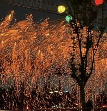 2025년 세종시 세종낙화축제