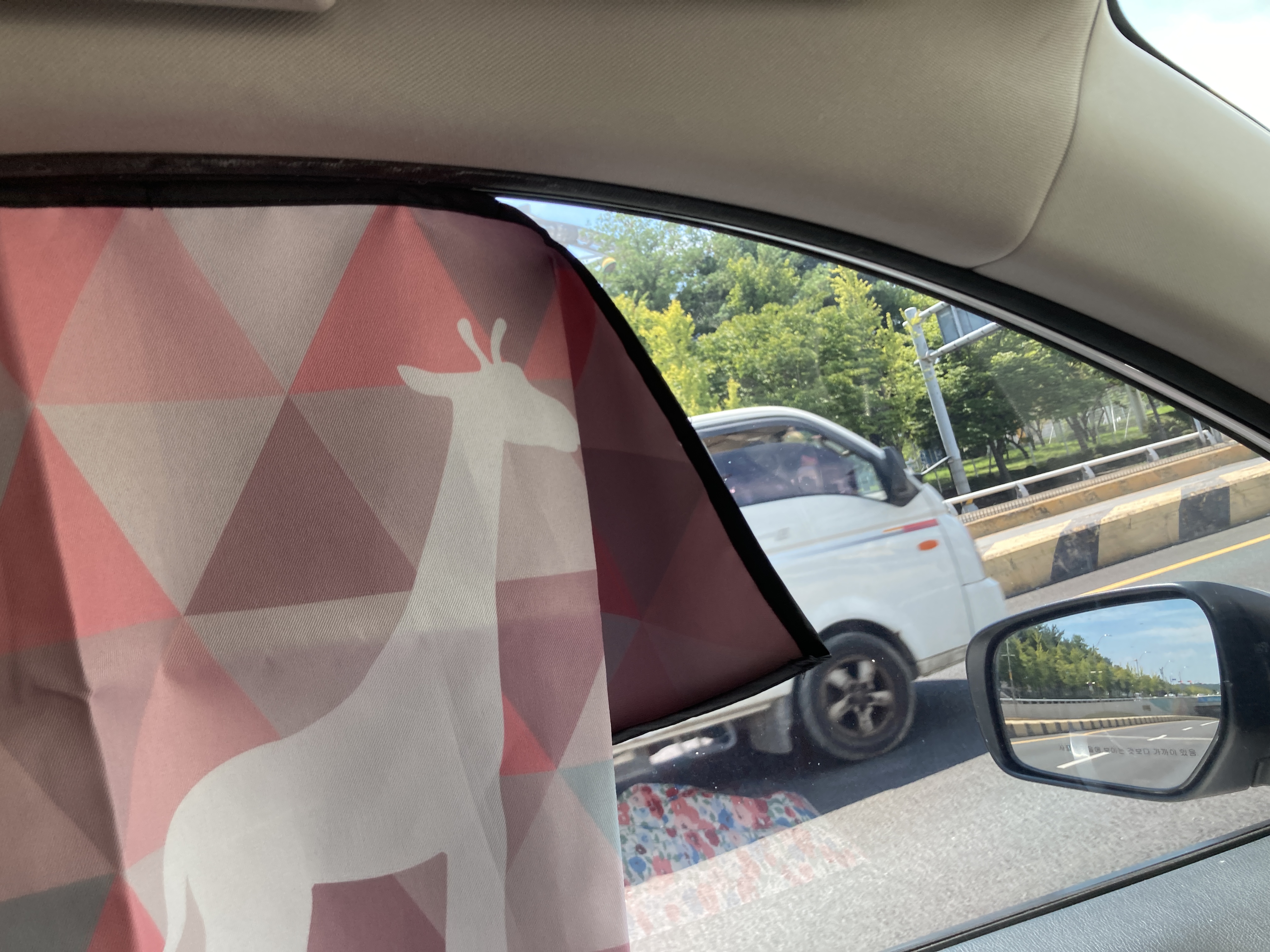 기린 그림이 인쇄된 자석식 햇빛가리개가 차량 조수석 창에 설치된 모습, 바깥 풍경이 부분적으로 보임