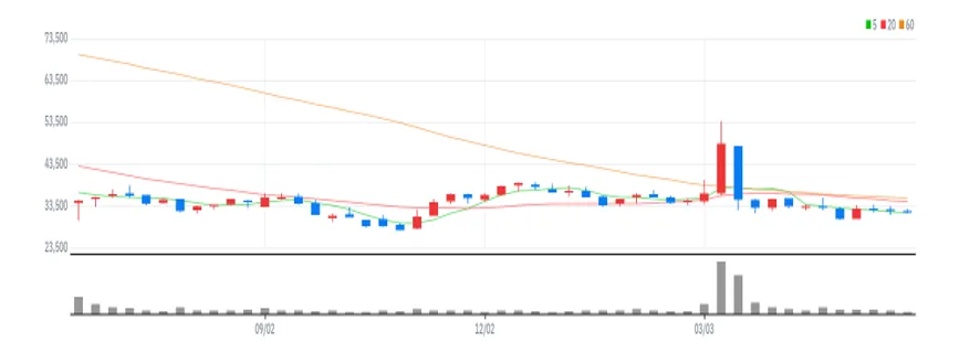 더존비즈온 주봉