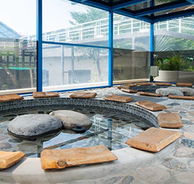 양평 미리내힐빙클럽